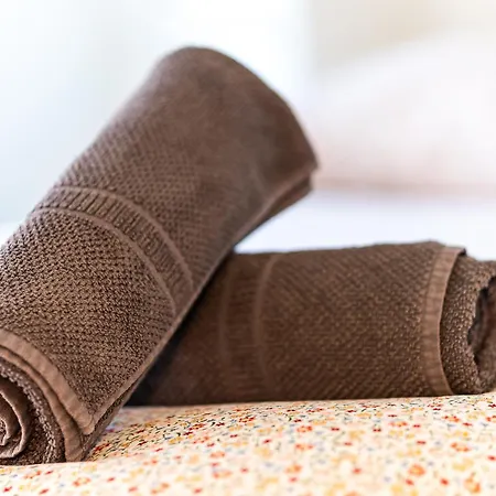 Le Petit Jardin - Pour 2 Personnes Centre Historique アパート クレルモン・フェラン