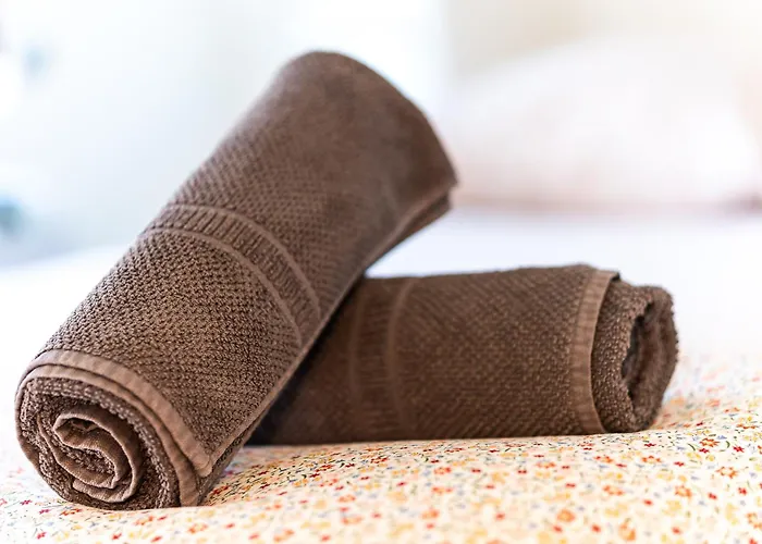 Le Petit Jardin - Pour 2 Personnes Centre Historique 公寓 克莱蒙费朗